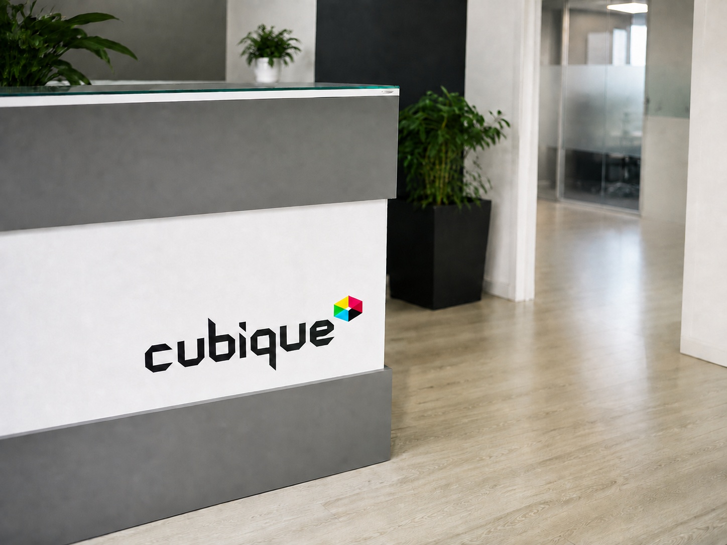 Receção do Grupo Cubique
